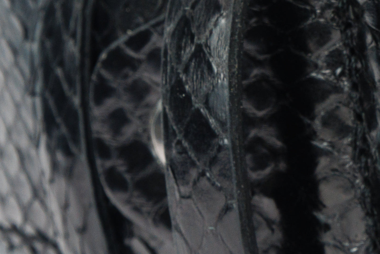 The Boss Black python Sneak Leather Belt