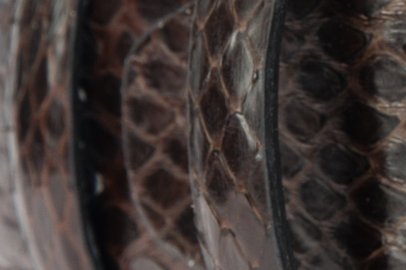 The Boss Brown python Sneak Leather Leather Belt