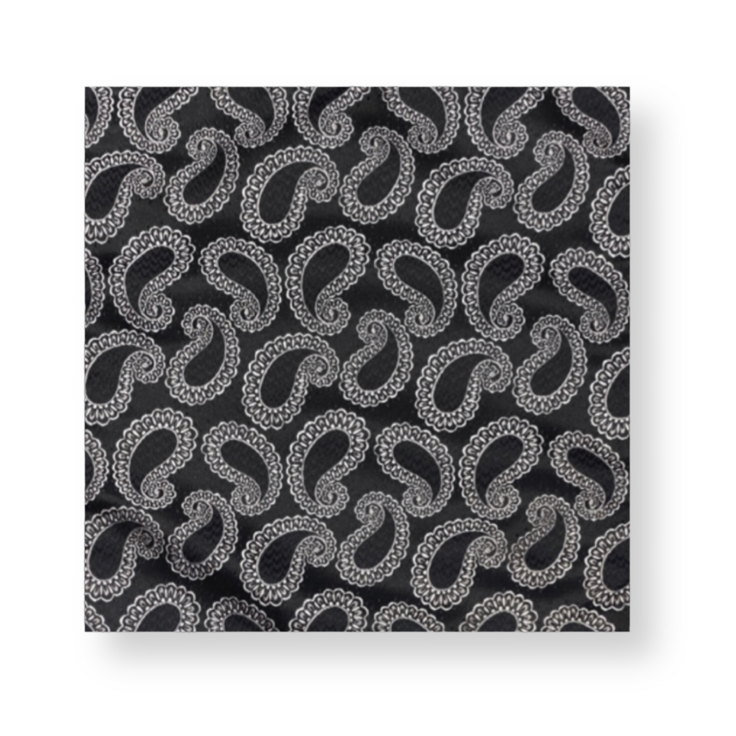 Adelmo Paisley Pocket Square - My Men's Shop