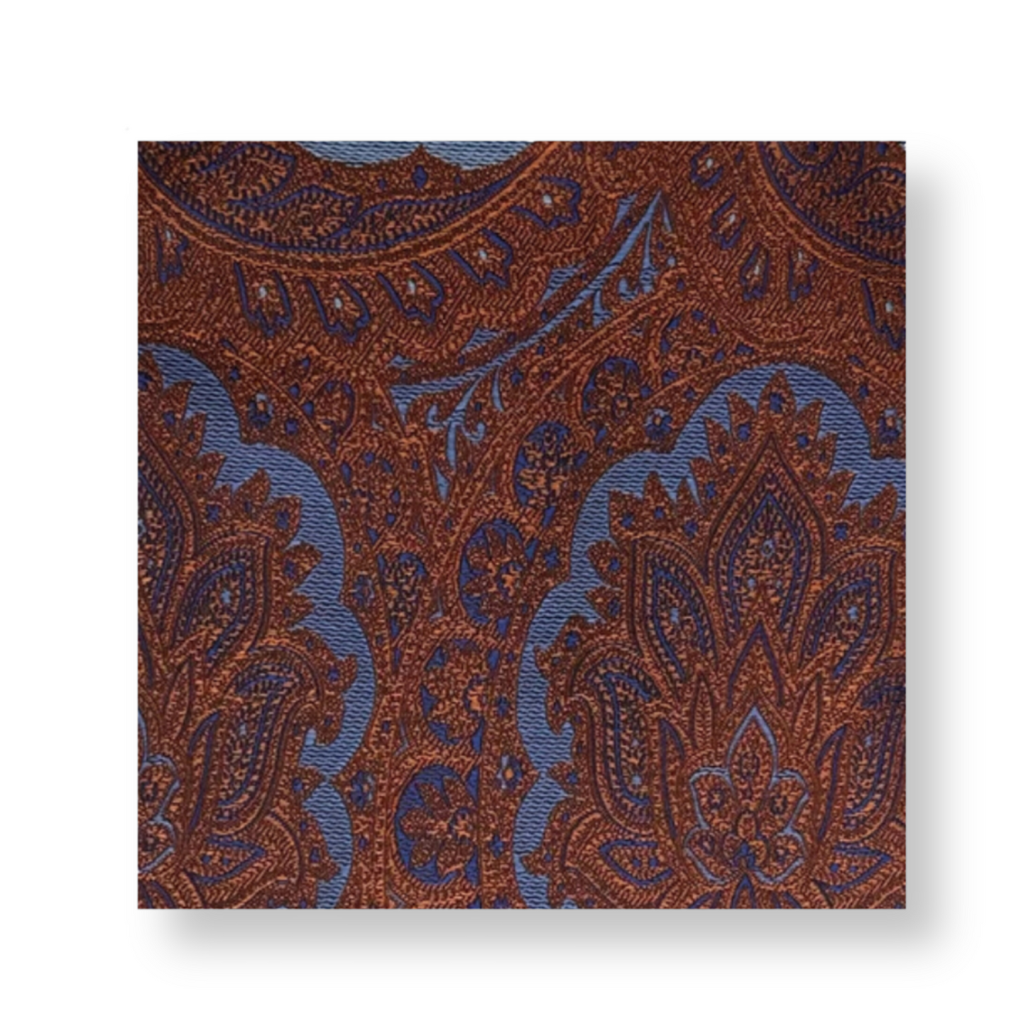 Dalman Paisley Pocket Square - My Men's Shop