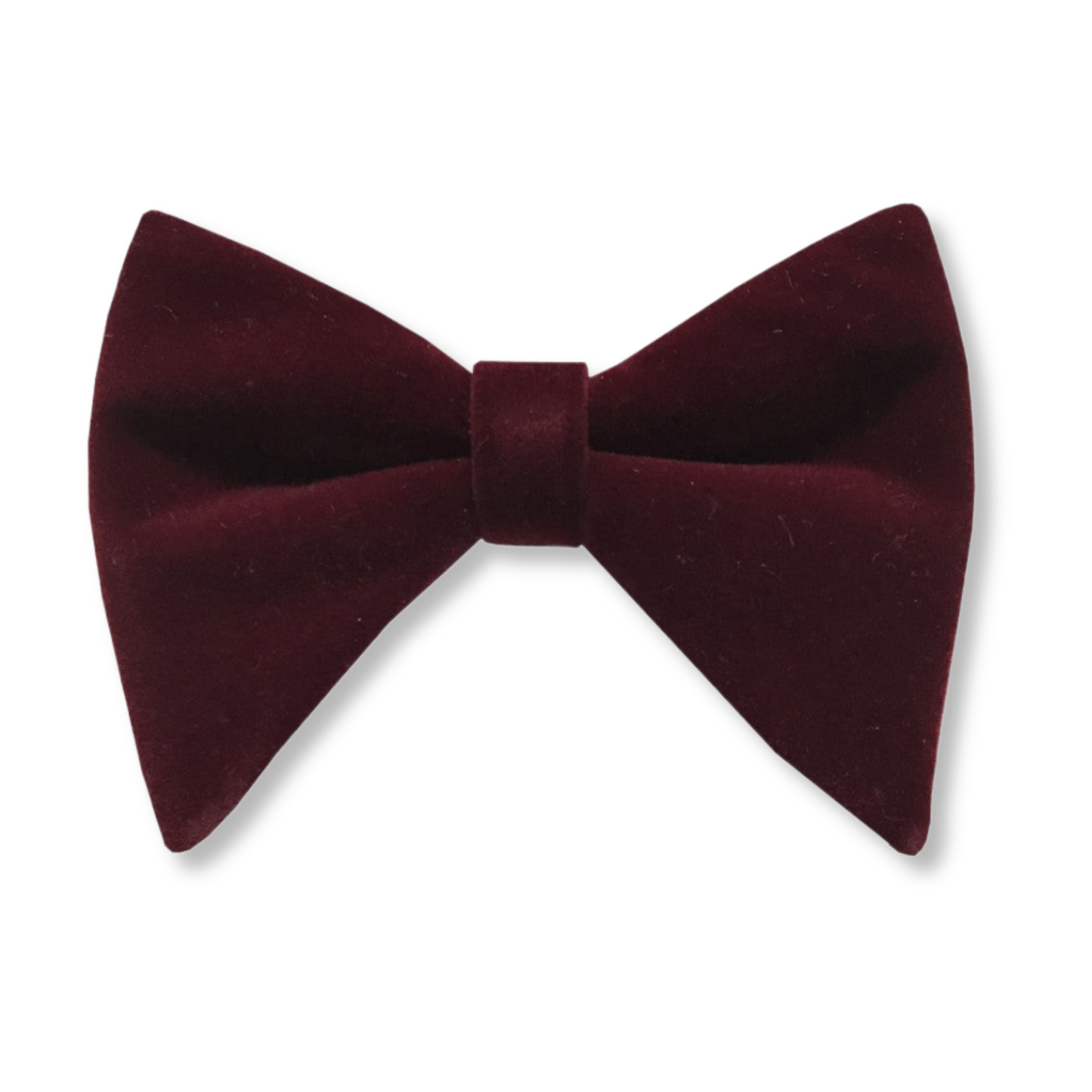 Bryant Long Velvet Bow Tie - My Men's Shop
