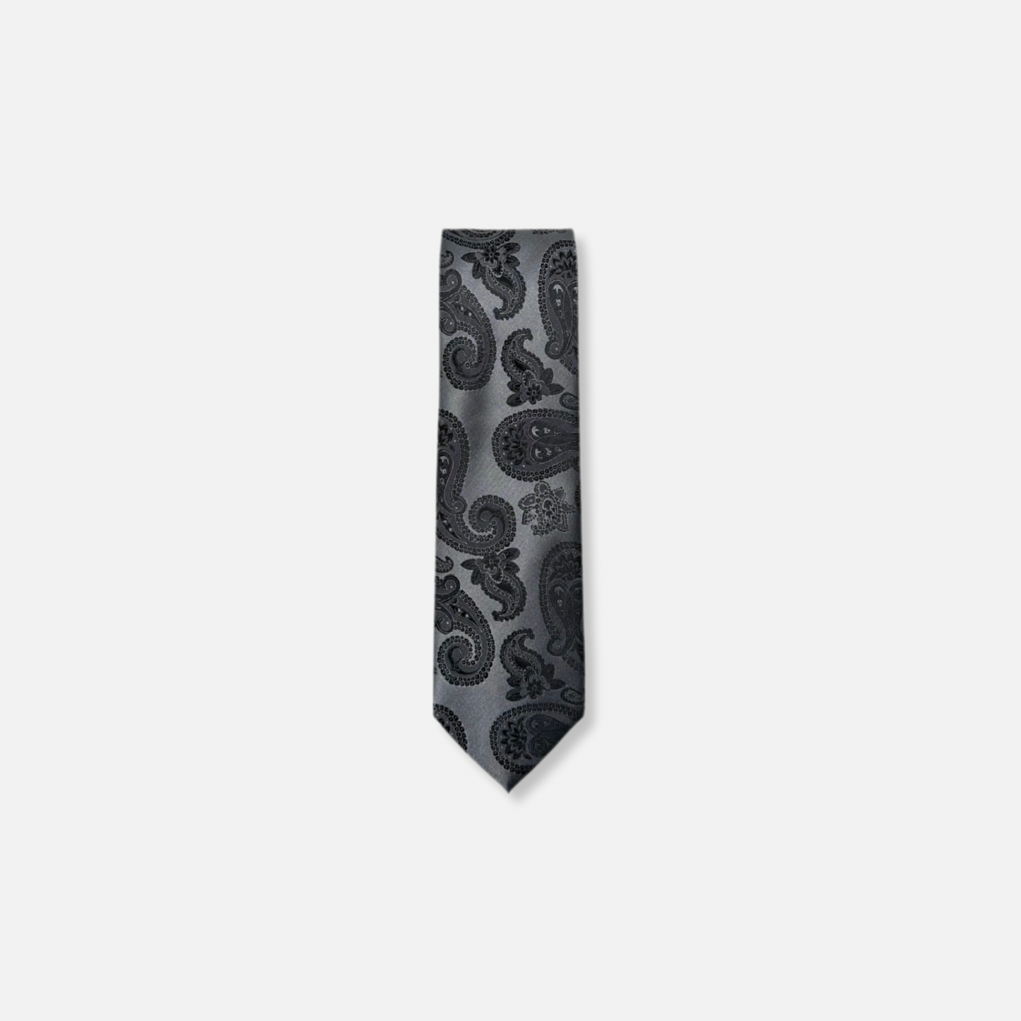 Dabney Classic Paisley Tie - My Men's Shop