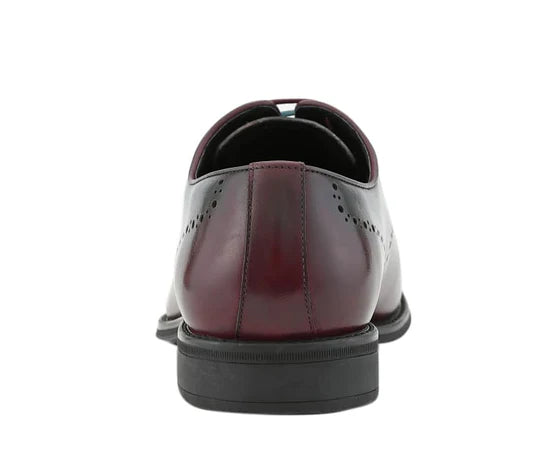 AG1222-215 - My Men's Shop