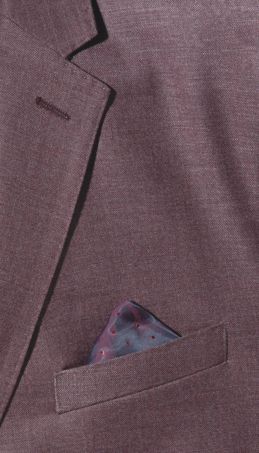Ferrecci Nelson Men's 2 Button Slim Fit Notch Lapel Suit
