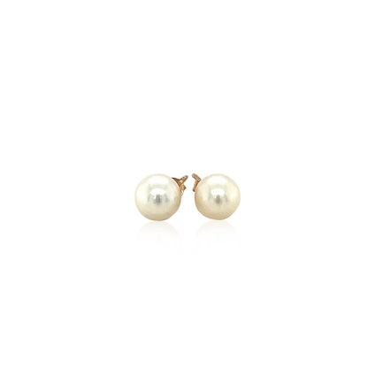 Pendientes de 14k de oro amarillo con perlas cultivadas de agua dulce, blancas (6.0 mm)