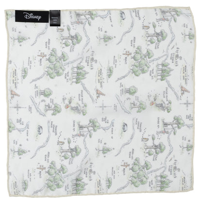 Disney Winnie the Pooh Map Pocket Square