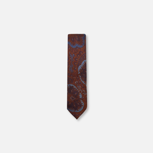 Dalman Classic Paisley Tie - My Men's Shop