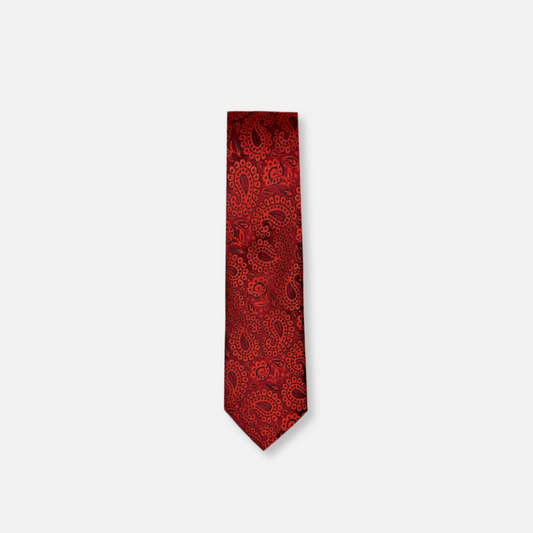 Darden Classic Paisley Tie - My Men's Shop