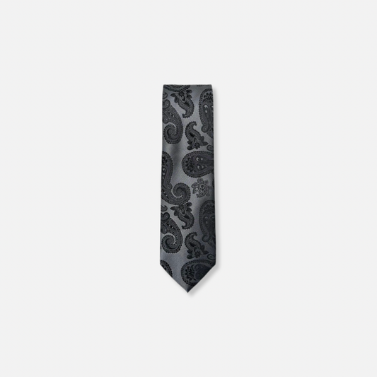 Dabney Classic Paisley Tie - My Men's Shop
