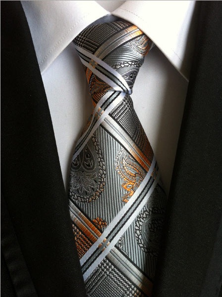 KPT2182 Silver Paisley and Striped Polywoven Tie