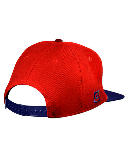 Watch Co Snapback Hat
