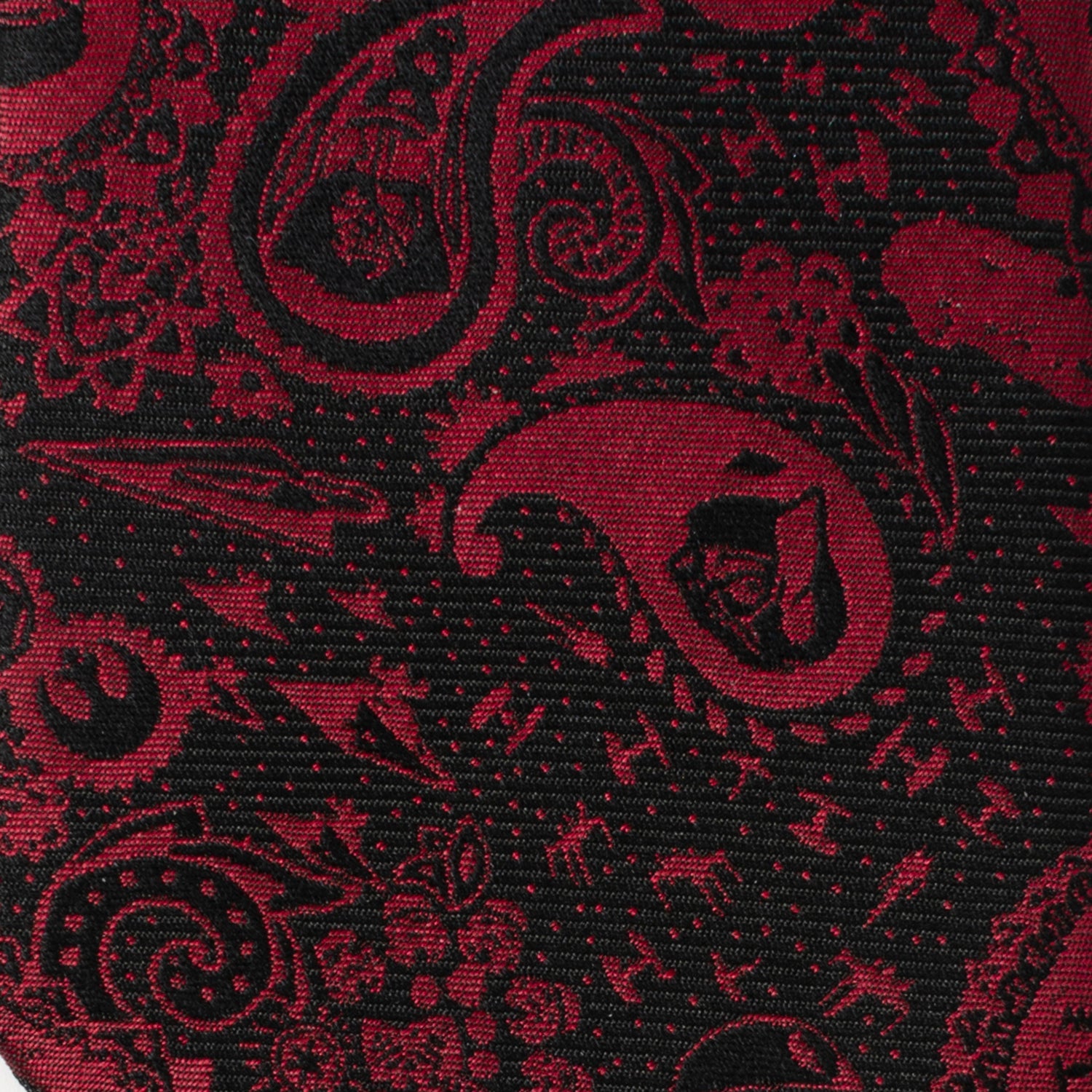 Star Wars Darth Vader Black and Red Paisley Tie - My Men's Shop