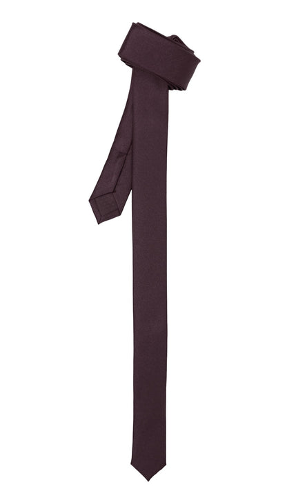 Super Skinny Egg Plant Shiny Slim Tie