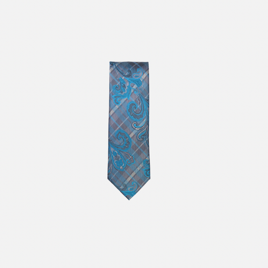 Biren Classic Paisley Tie - My Men's Shop